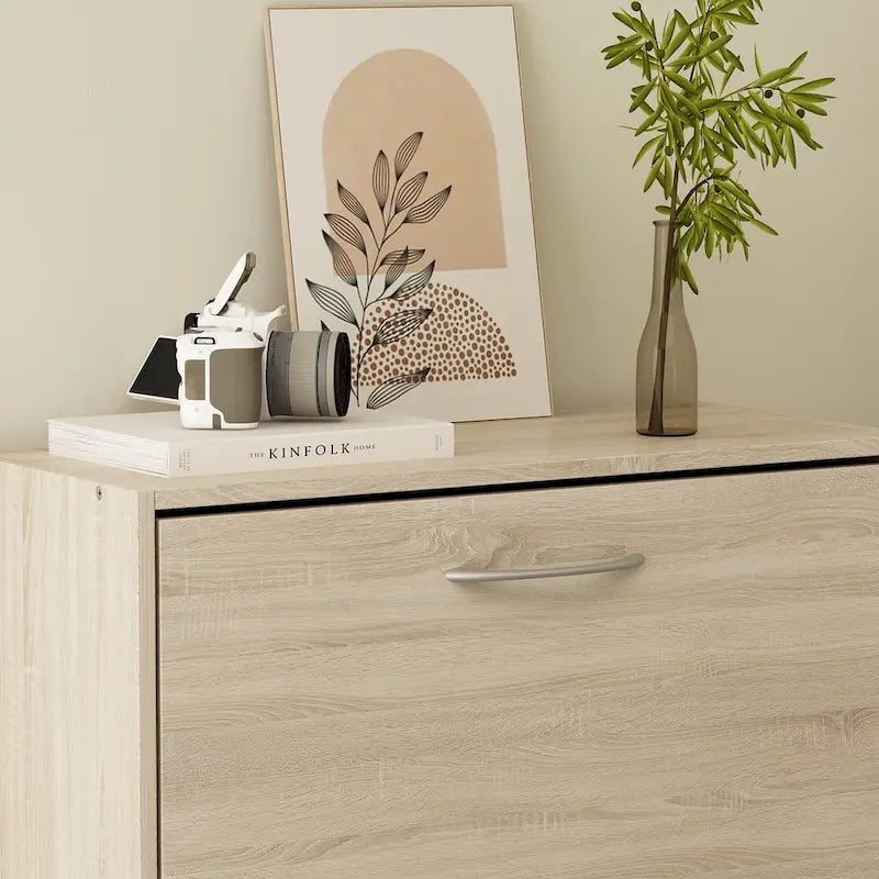 Modern Shoe Storage Cabinet for Entryway, 2 Tier Floor Shoes Cabinet