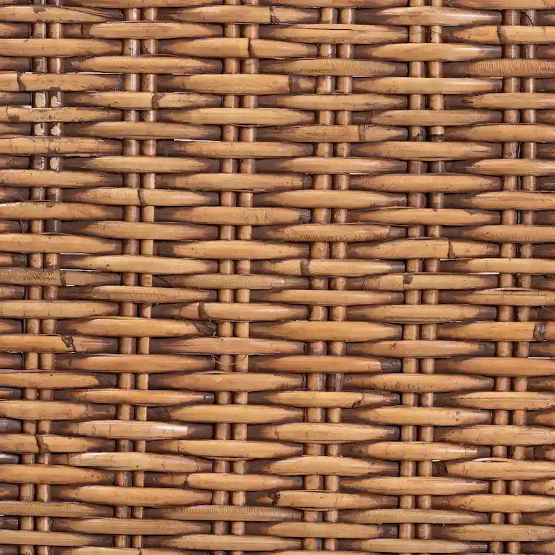 Neola Modern Bohemian Natural Rattan Dining Chair